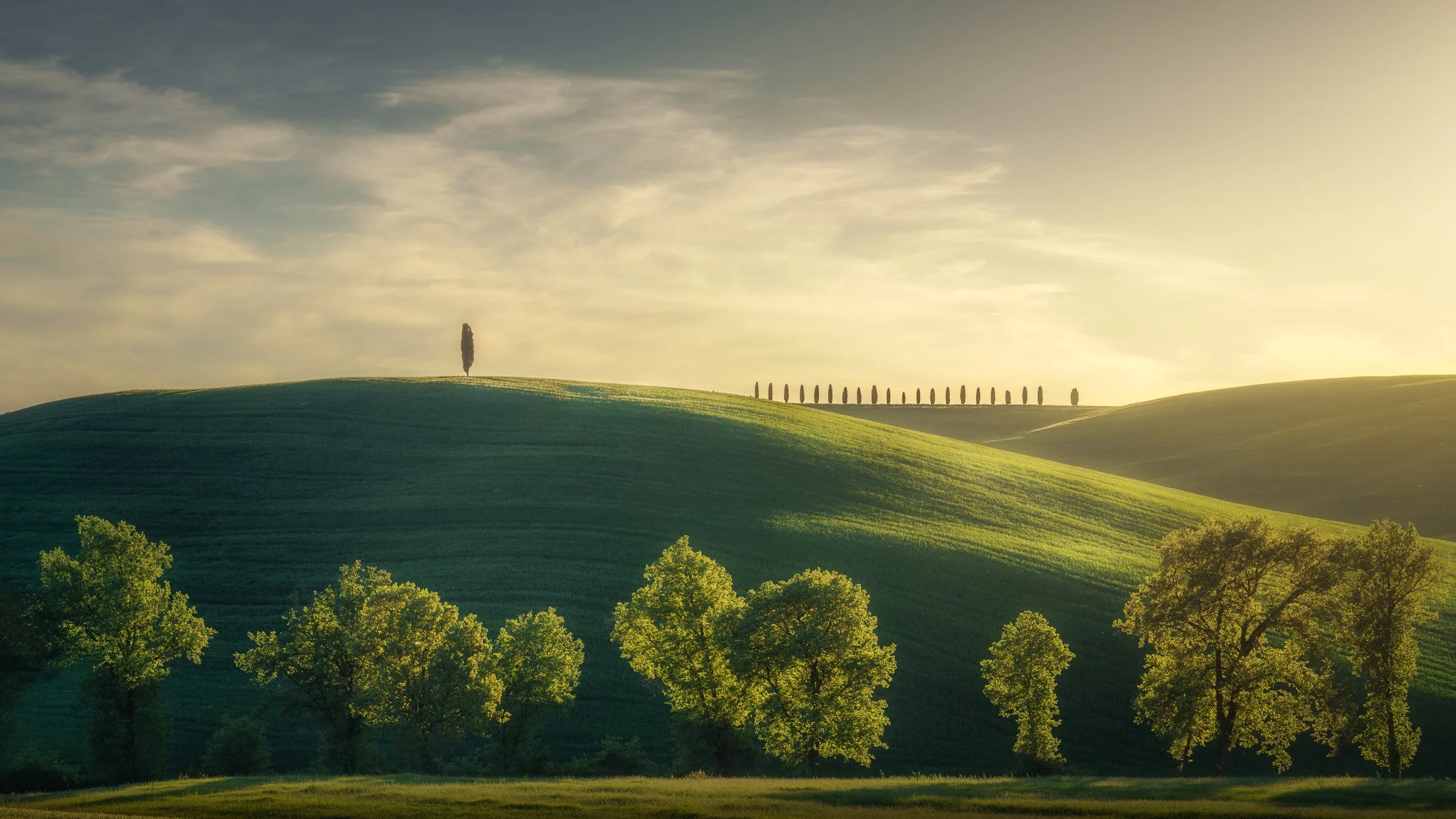 TuscanTreeline.jpg