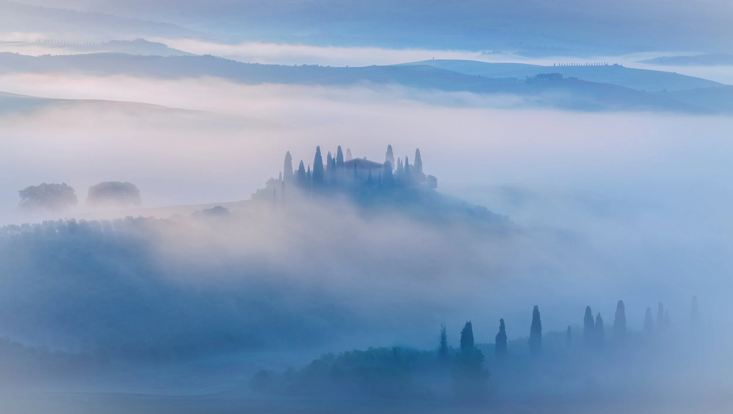Belvedere2026.jpg