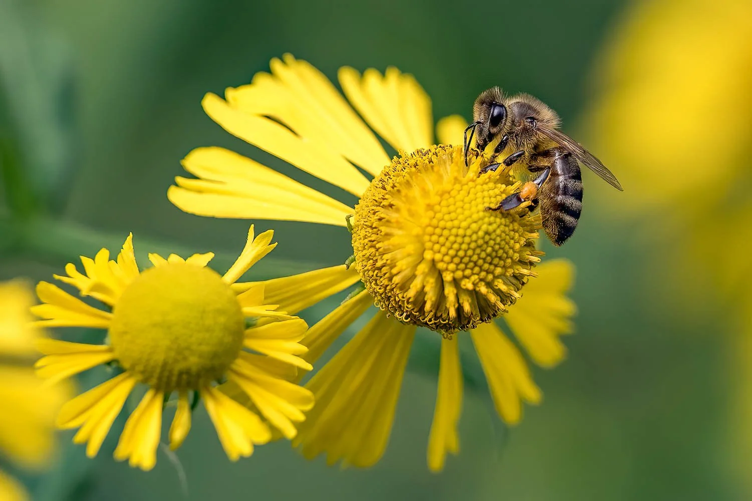 23_09_02_NZ9_2578 E TN TS.jpg