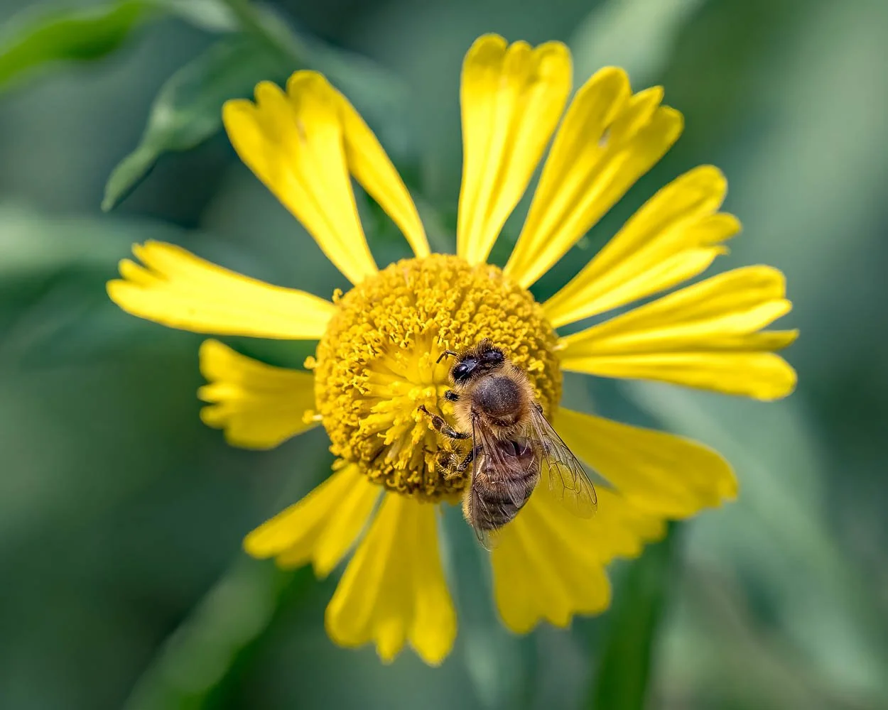 23_09_02_NZ9_2586 E TN TS.jpg