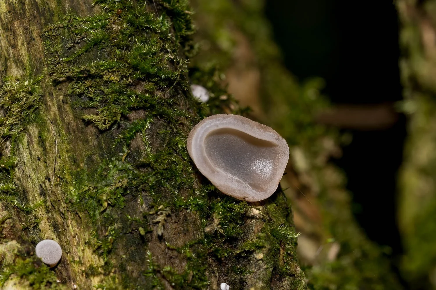 23_09_29_NZ9_5185 E TN TS.jpg