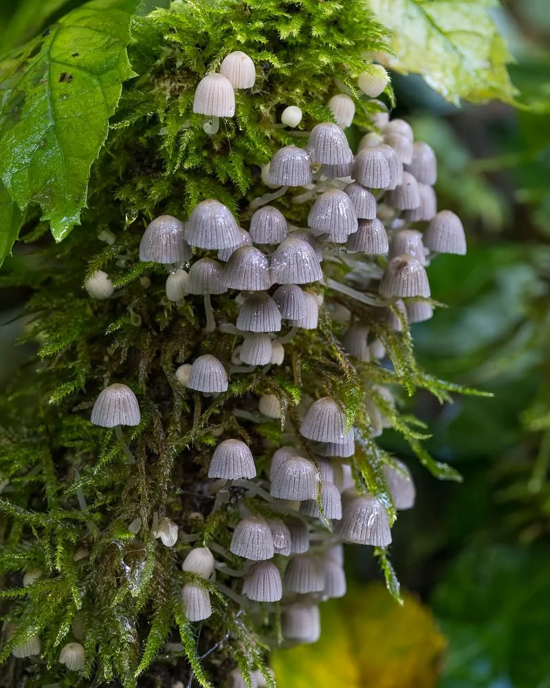 23_09_26_NZ9_4711 E TN TS.jpg