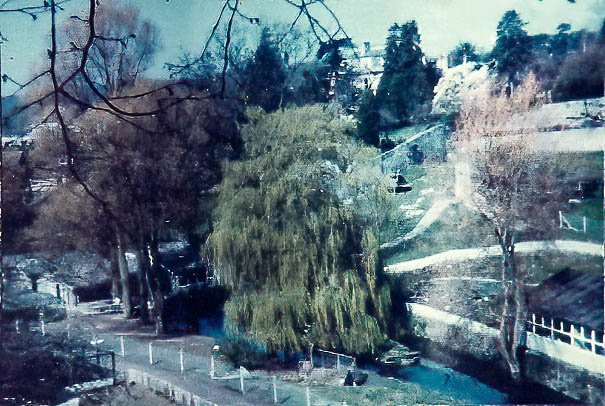 23_11_10_scan0034 E TN TS.jpg