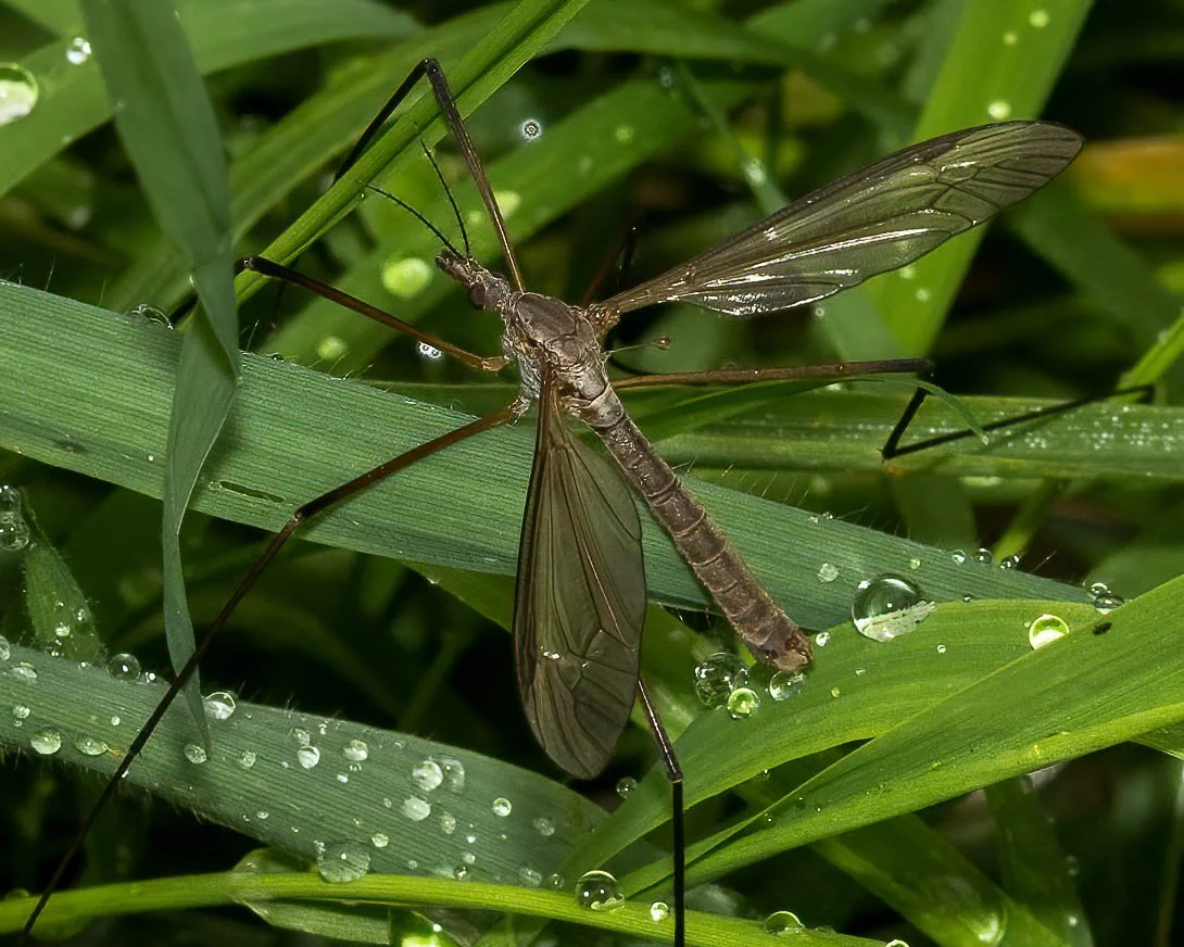 23_09_27_NZ9_5130 E TN TS.jpg