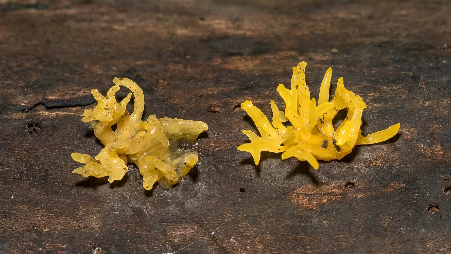 23_09_27_NZ9_5087 E TN TS.jpg