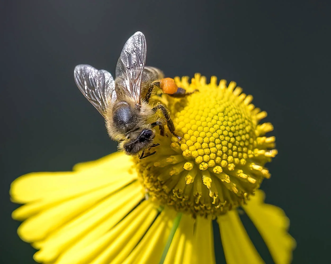 23_09_02_NZ9_2585 E TN TS.jpg