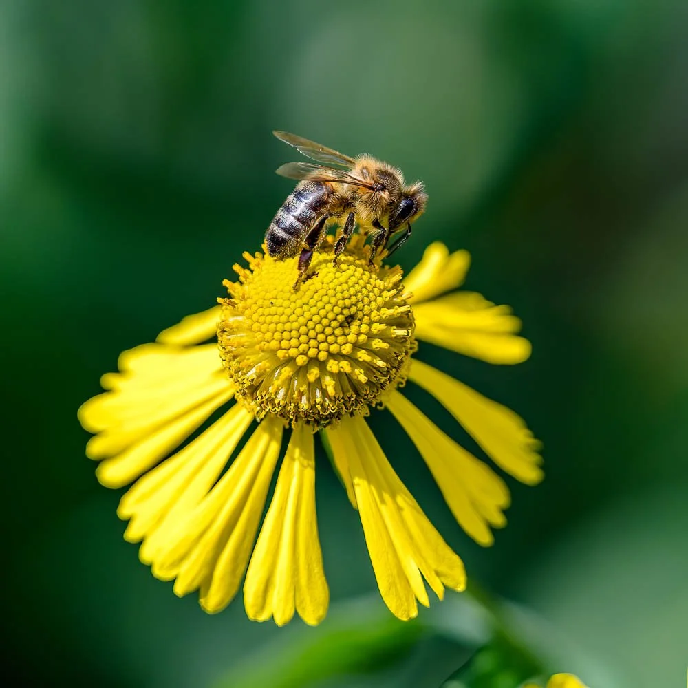 23_09_02_NZ9_2568 E TN TS.jpg