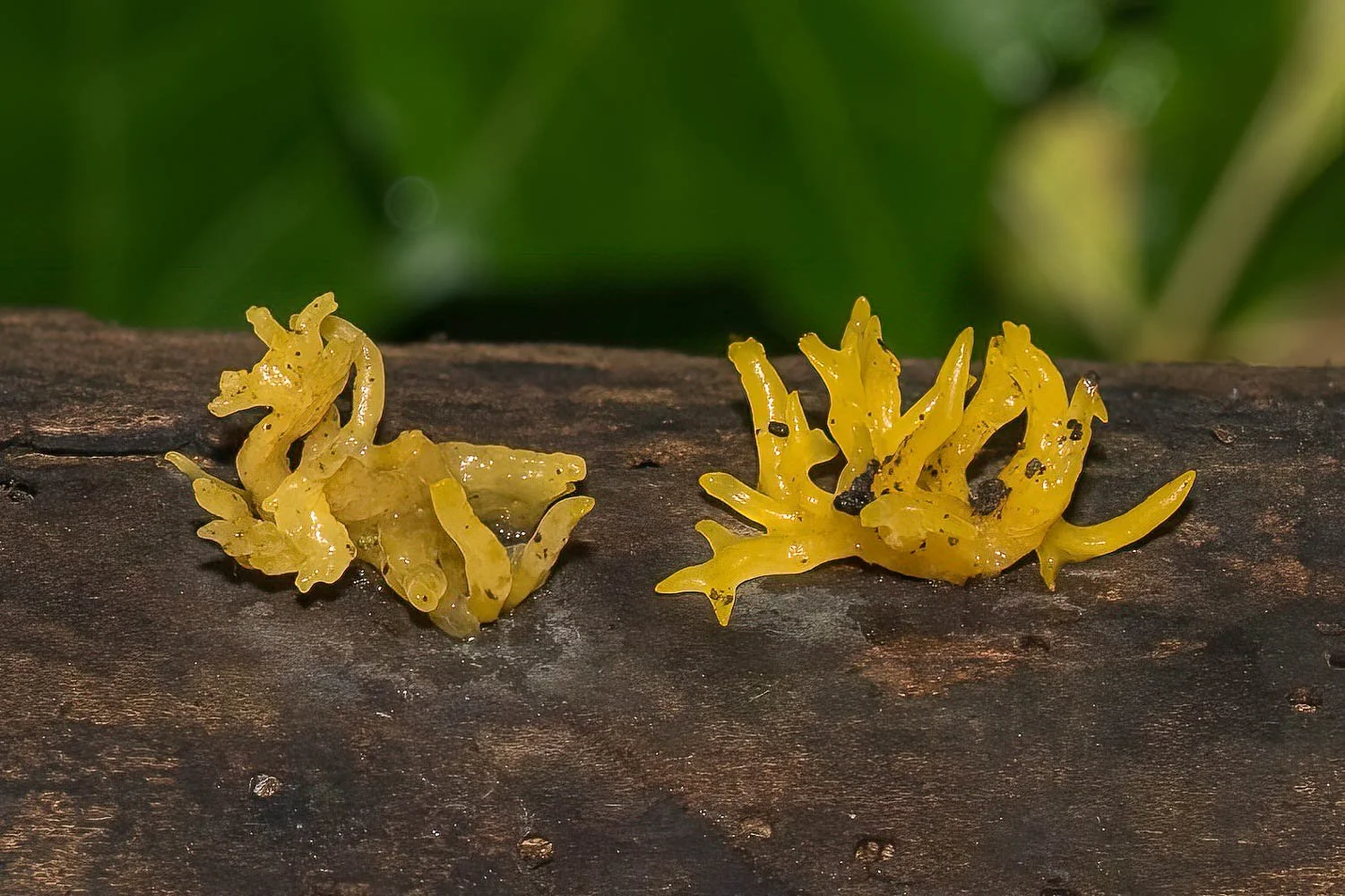 23_09_27_NZ9_5172 E TN TS.jpg