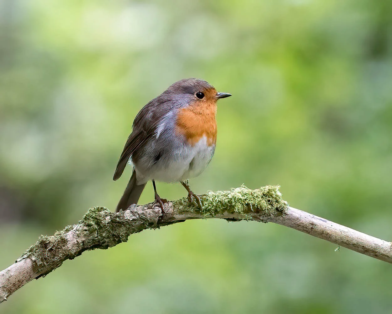 23_08_29_NZ9_2401 E TN TS.jpg