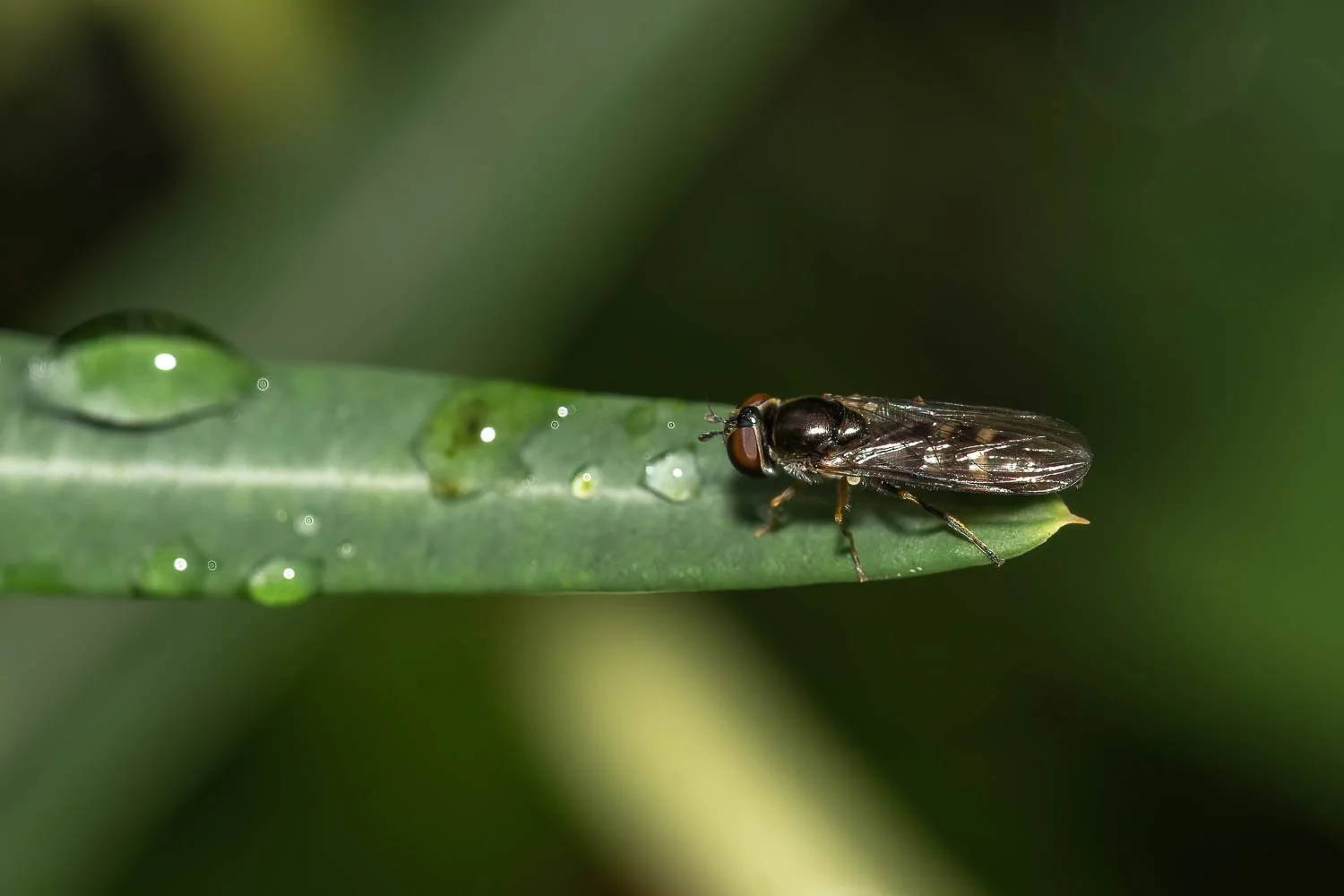 23_09_27_NZ9_5141 E TN TS.jpg