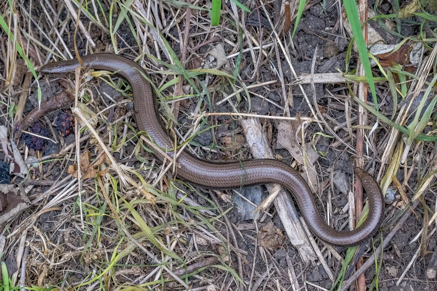 23_08_29_NZ9_2453 E TN TS.jpg