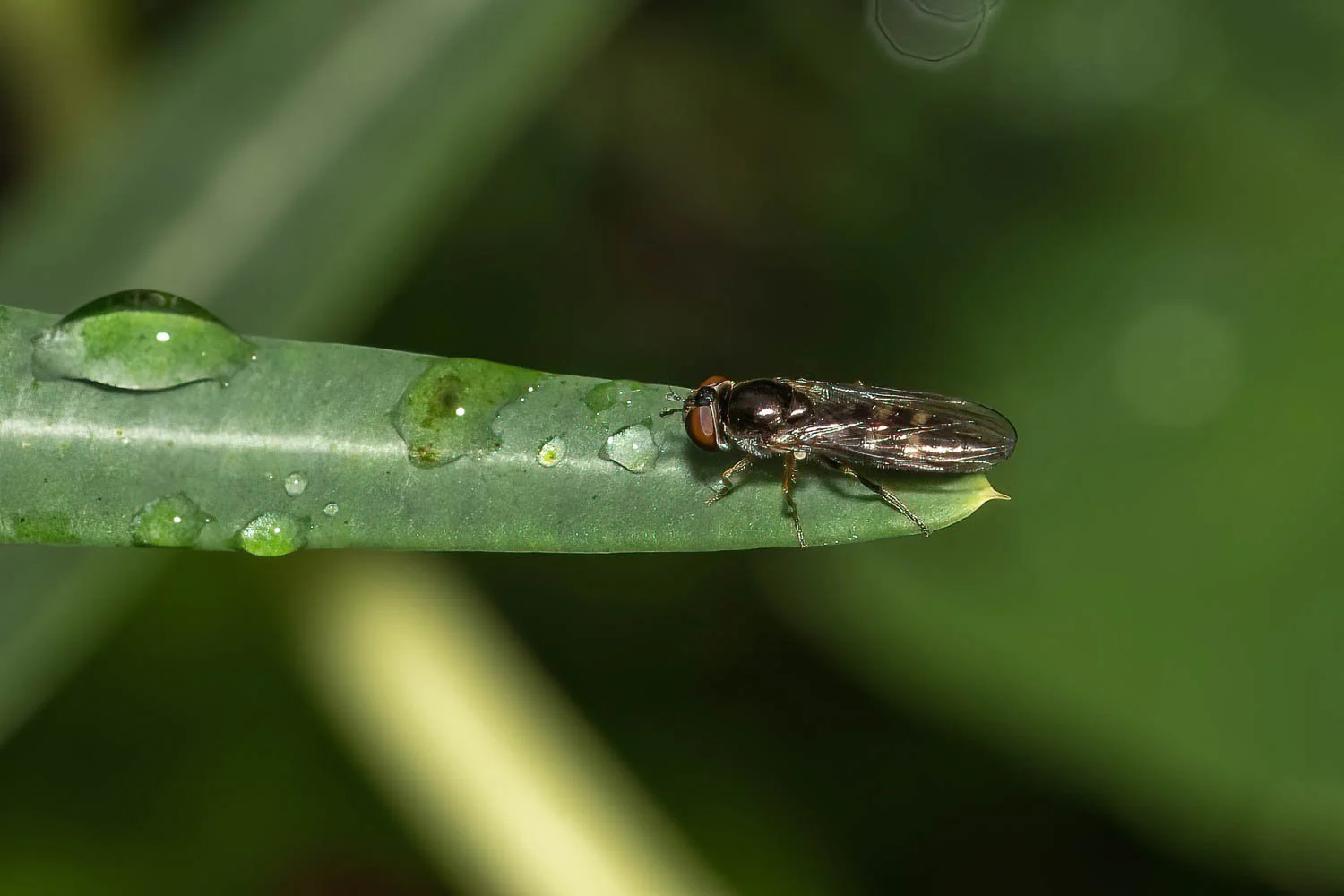 23_09_27_NZ9_5140 E TN TS.jpg