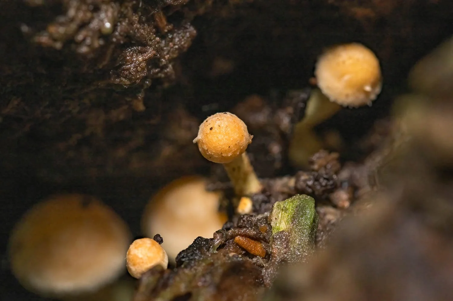 23_10_21_NZ9_6450 E TN.jpg