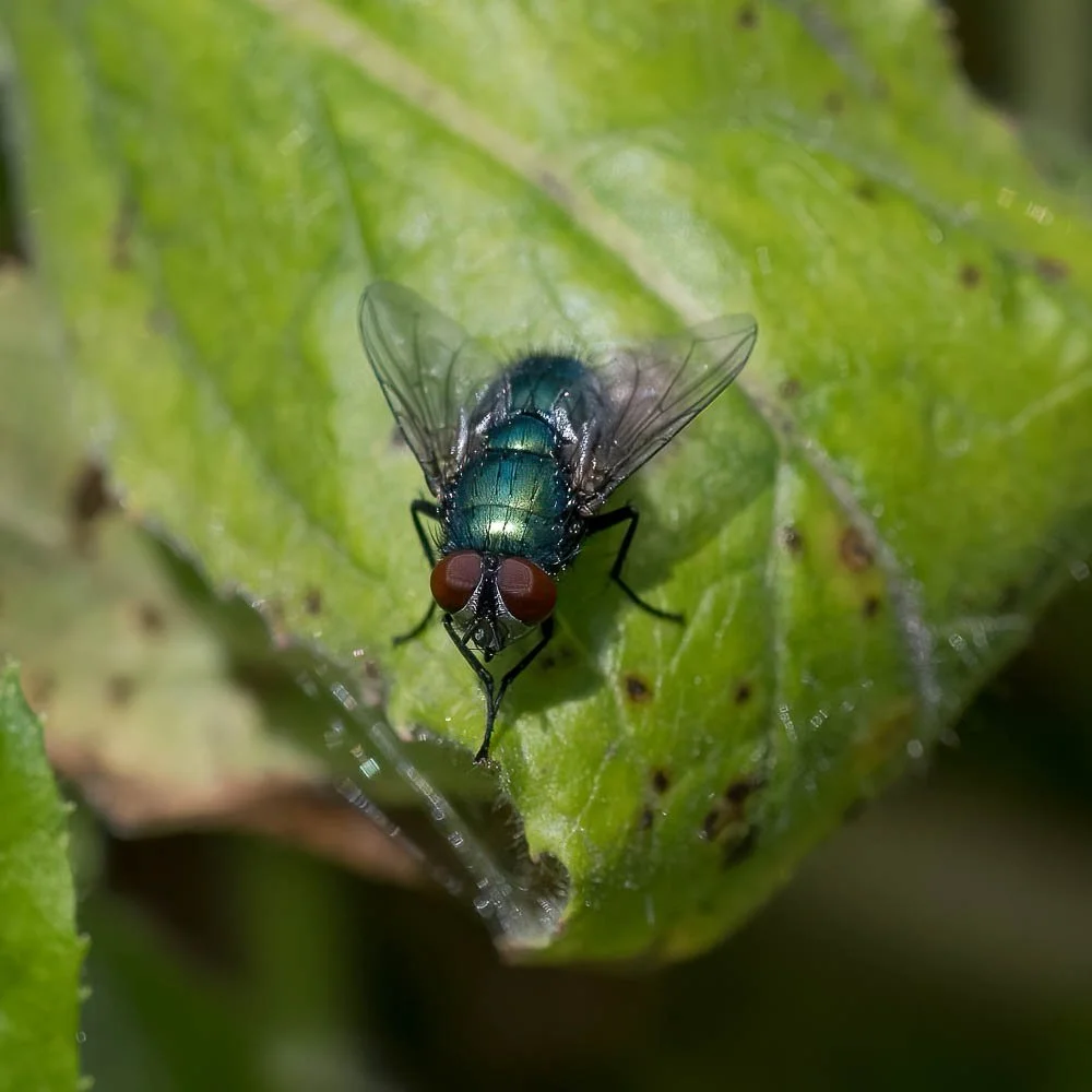 23_08_07_NZ9_1225 E TN TS.jpg