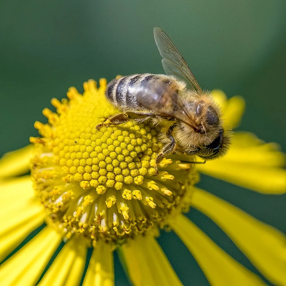 23_09_02_NZ9_2572 E TN TS.jpg