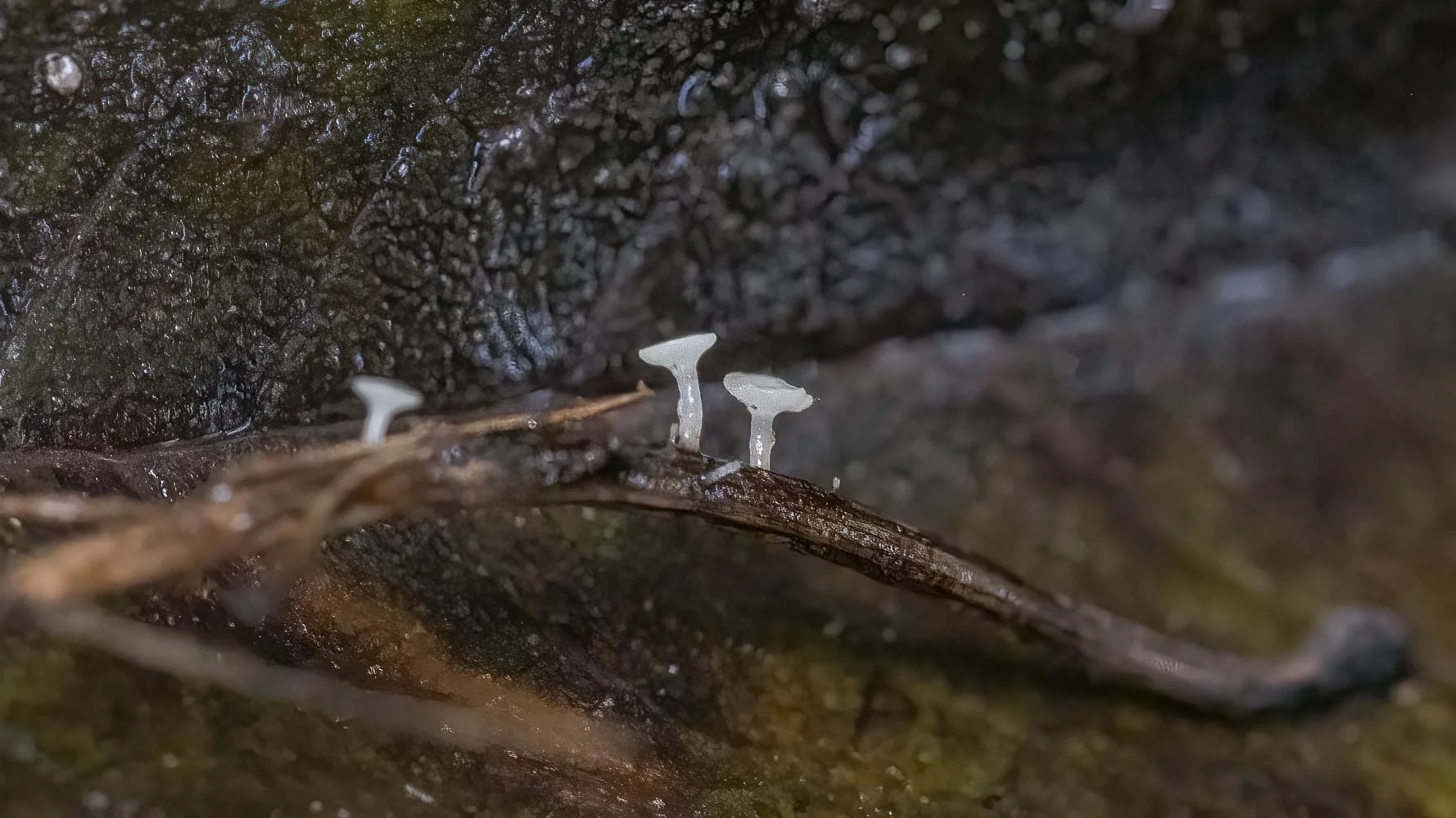 23_09_26_NZ9_4879 E TN TS.jpg