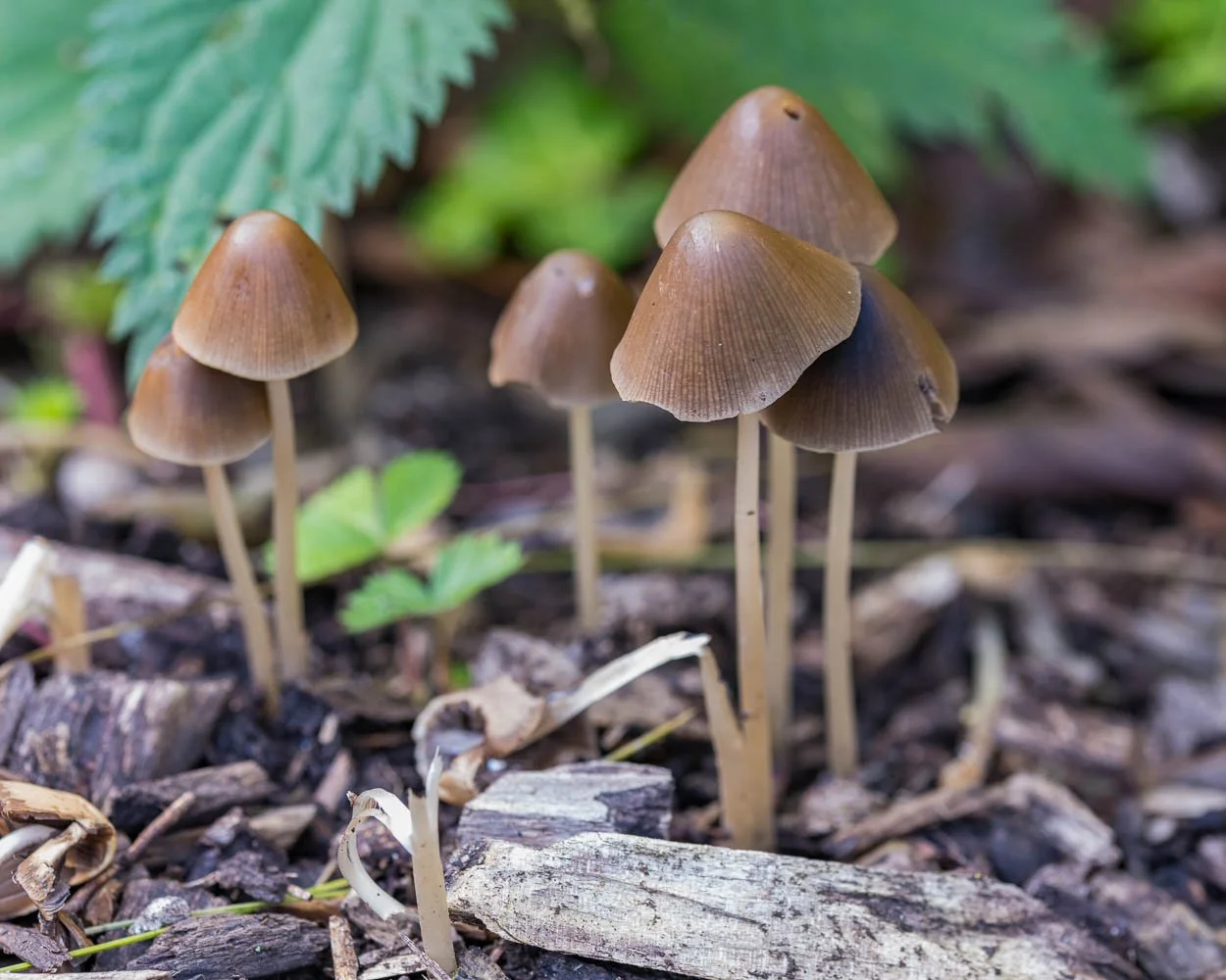 23_09_22_NZ9_4621 E.jpg