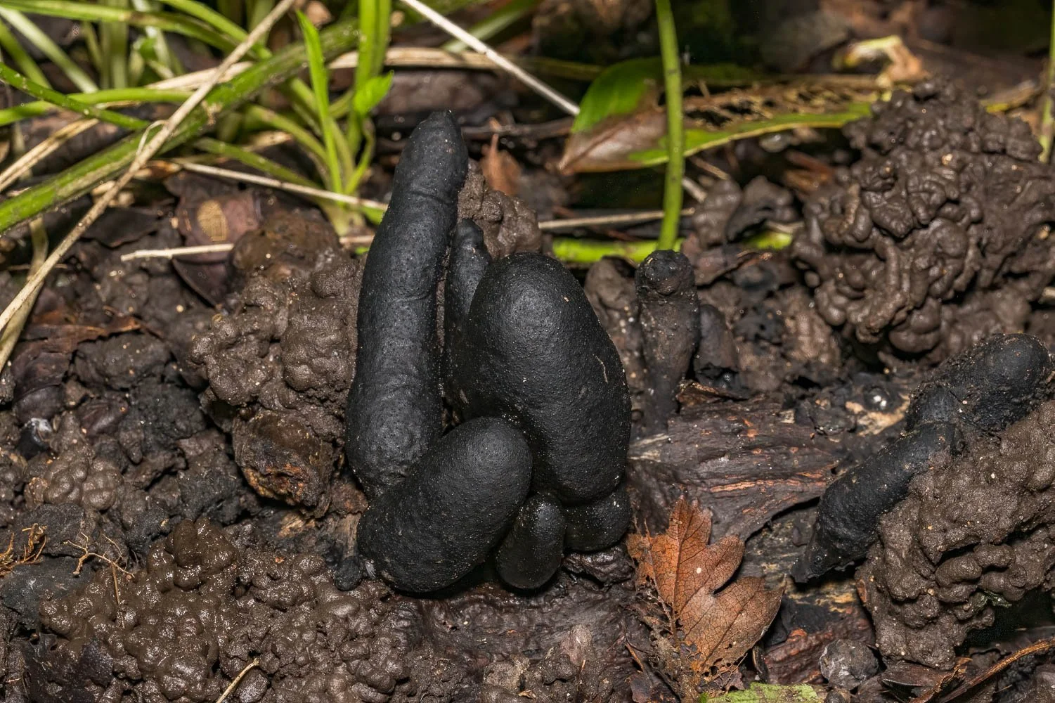 23_10_06_NZ9_6049 E TN TS.jpg