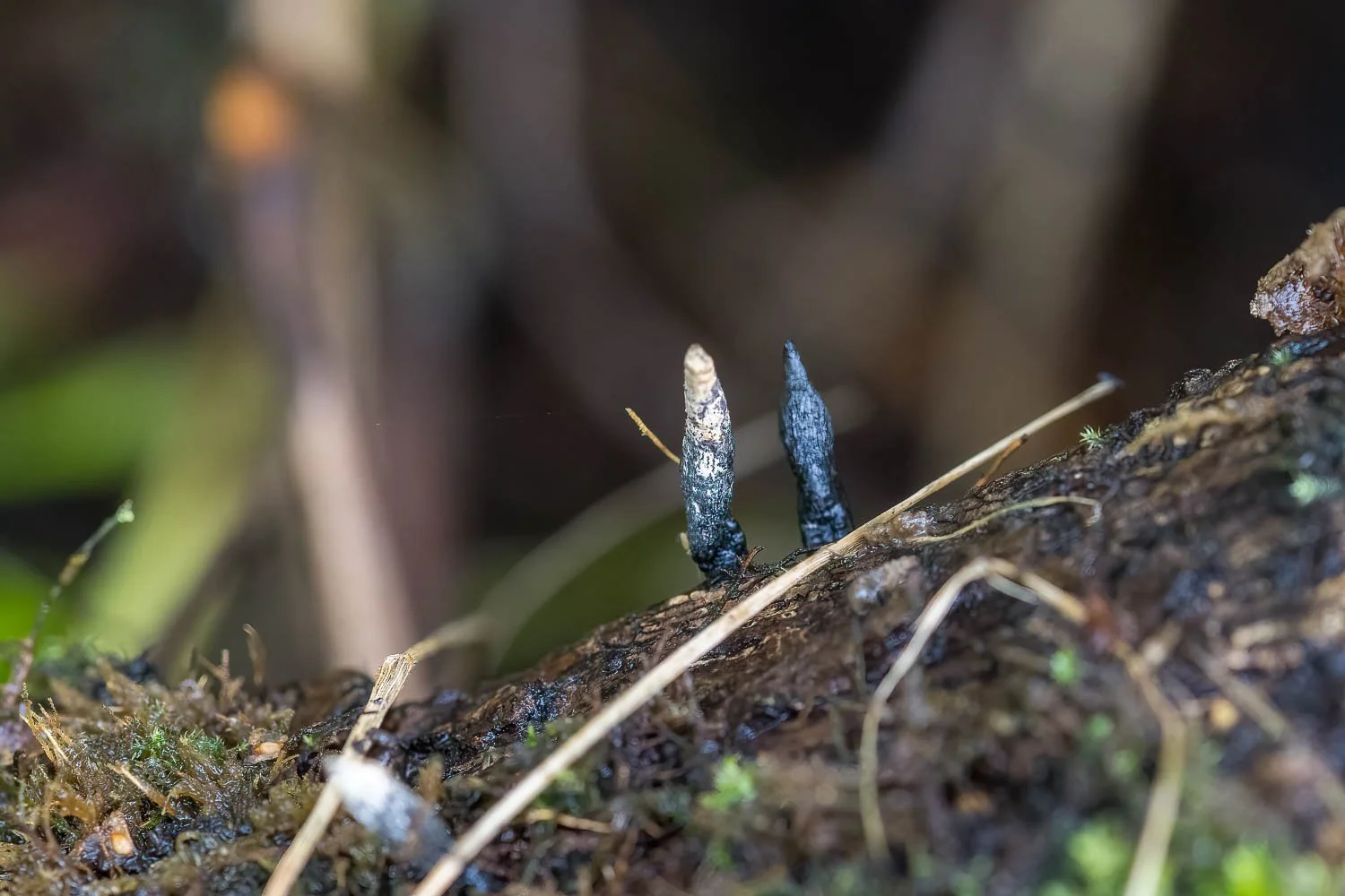 23_09_26_NZ9_4998 E TN TS.jpg