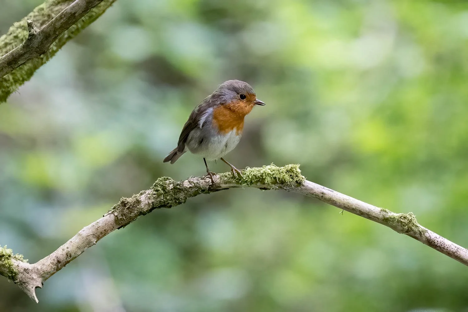 23_08_29_NZ9_2389 E TN.jpg