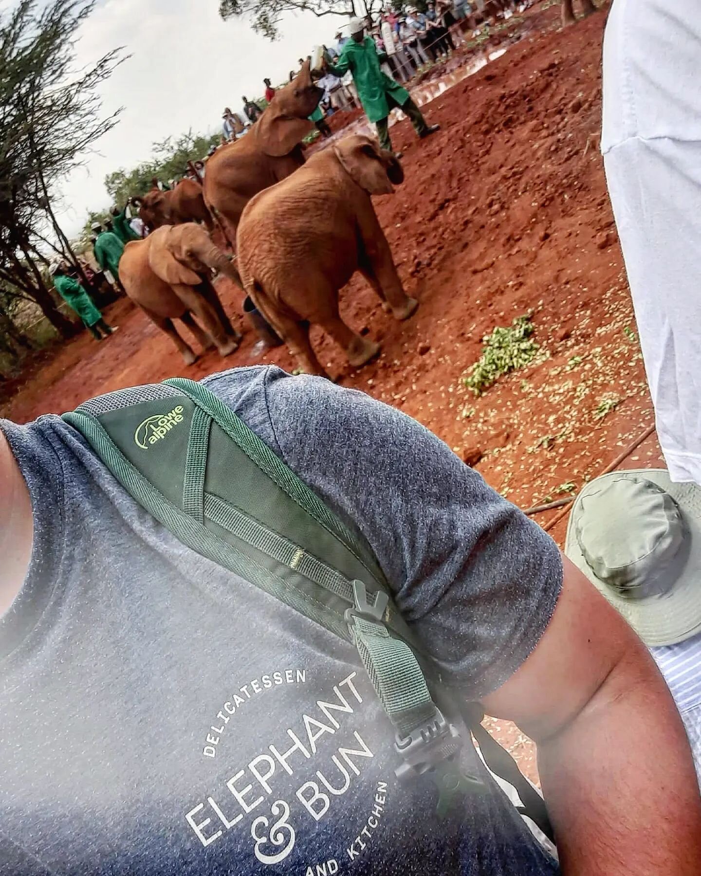 We love seeing our logo out in the wild, and there's nothing more wild than a Kenyan Safari. Our chief sausage roll taster @daigriff39 has travelled thousands of miles to test if Elephants really do like buns?! 
.
#elephantandbun #elephantandbundeli 