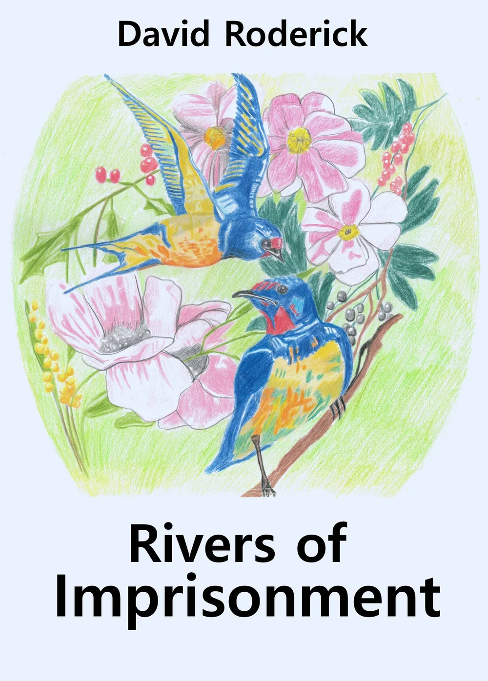 Rivers of Imprisonment - David Roderick — The Book Network