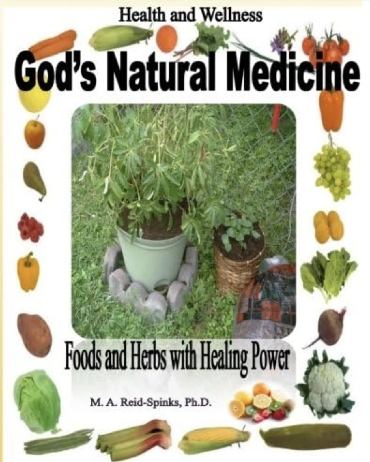 Health and Wellness God's Natural Medicine: Foods and Herbs with Healing Power - M A Reid Spinks