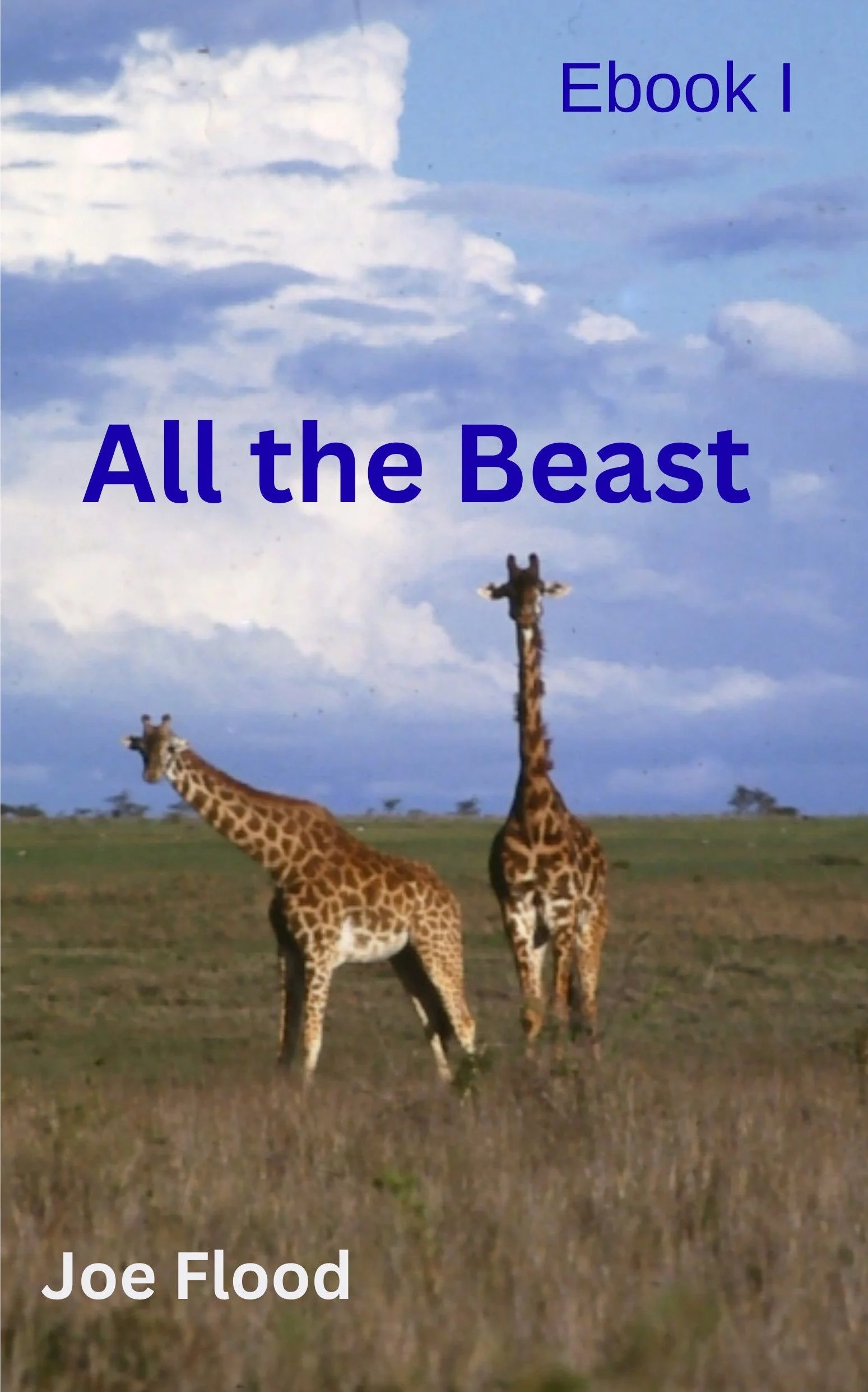 All the Beast - Joe Flood 