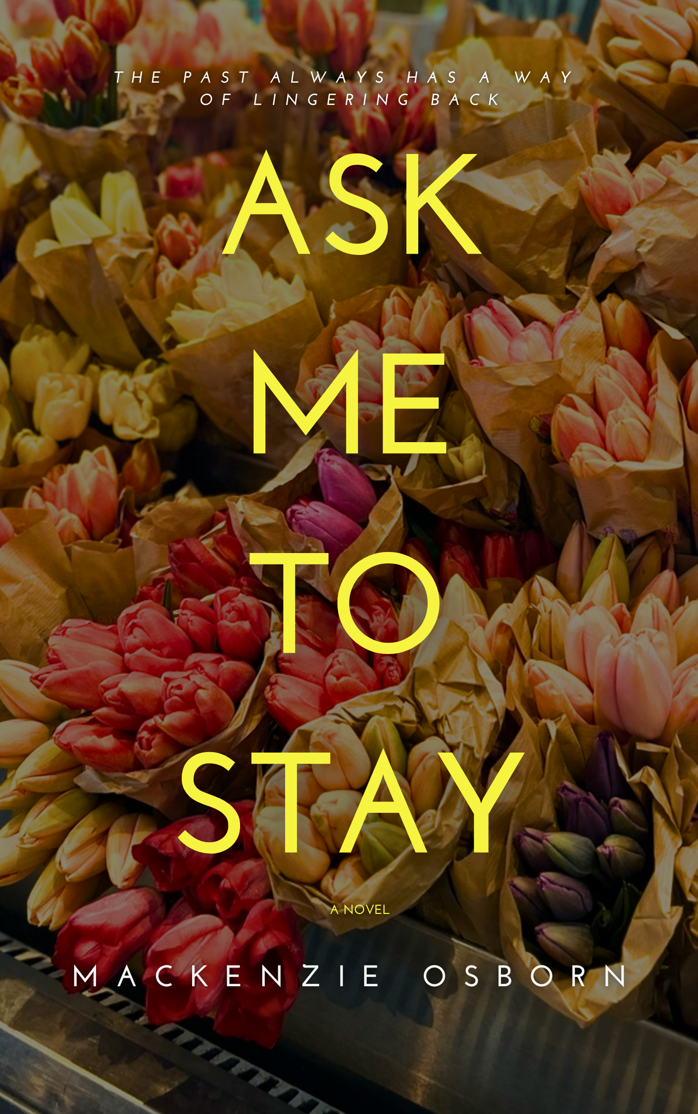 Ask Me To Stay - Mackenzie Osborn