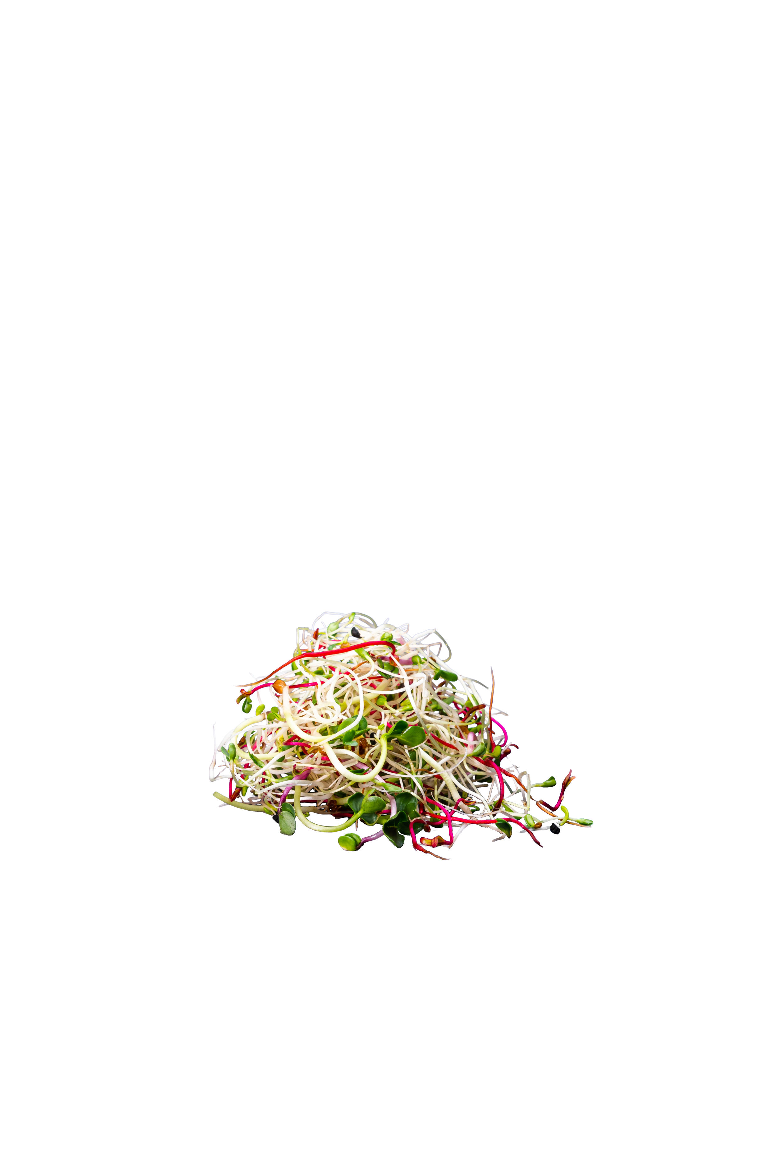 Fleursprossen