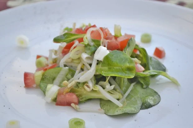 nuesslisalat-mit-sojasprossen.jpg