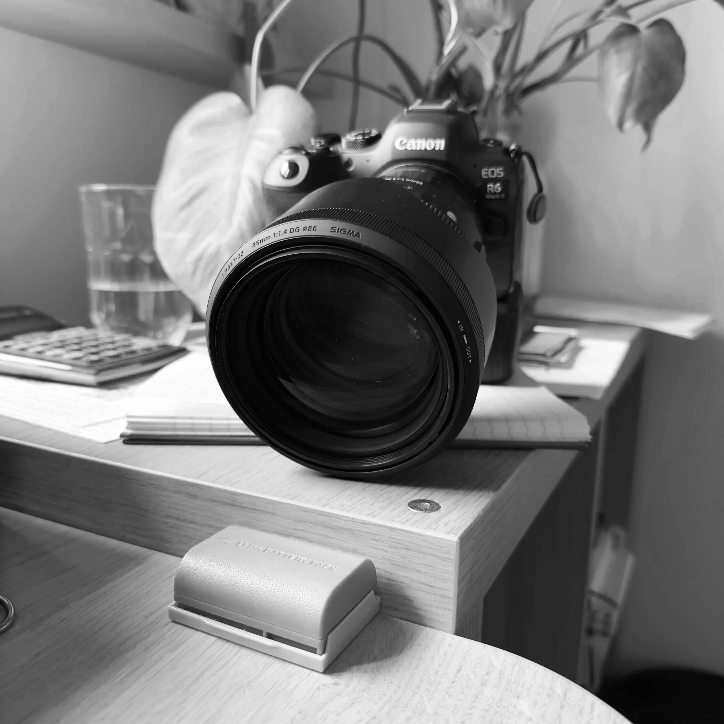 Are DSLR Cameras Making a Comeback Because They're More Challenging?