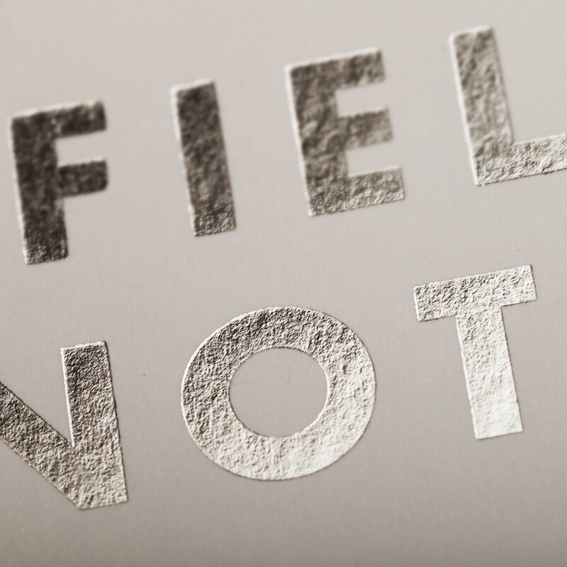 field_notes_group_eleven_notebooks_silver_foil__85939.jpg
