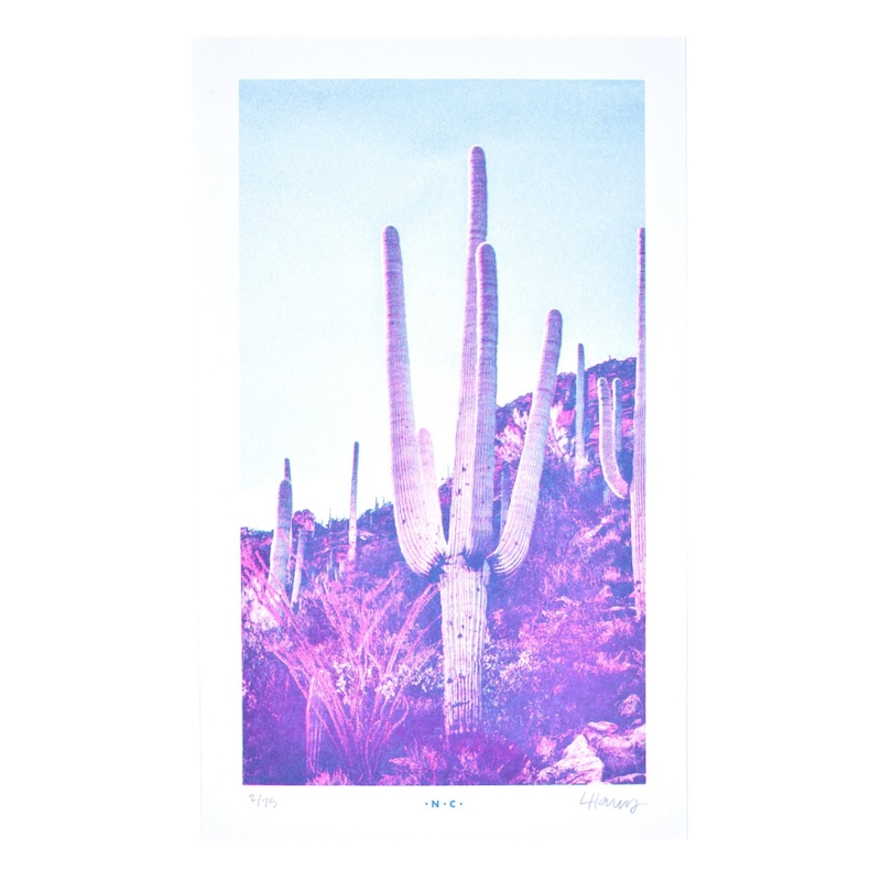 PRINT_SAGUARO_CACTI_HALF-TONE_RISOGRAPH__07526.png