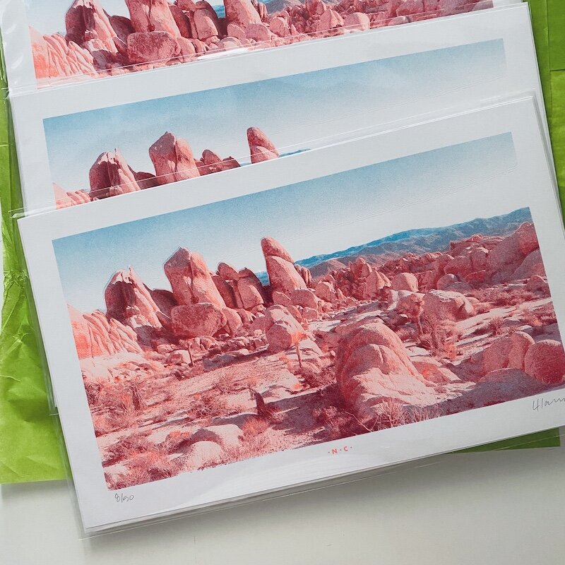 joshua_tree_boulders_risograph_print__82870.jpg