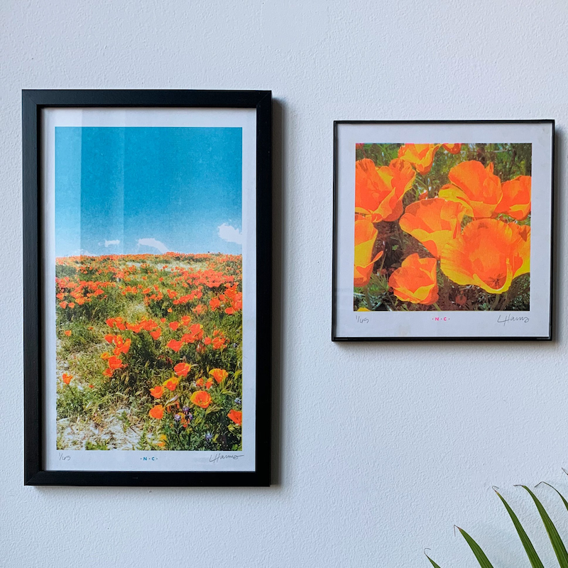 superbloom_prints_risograph_orange_wall_art_by_next_chapter_studio__32883.png
