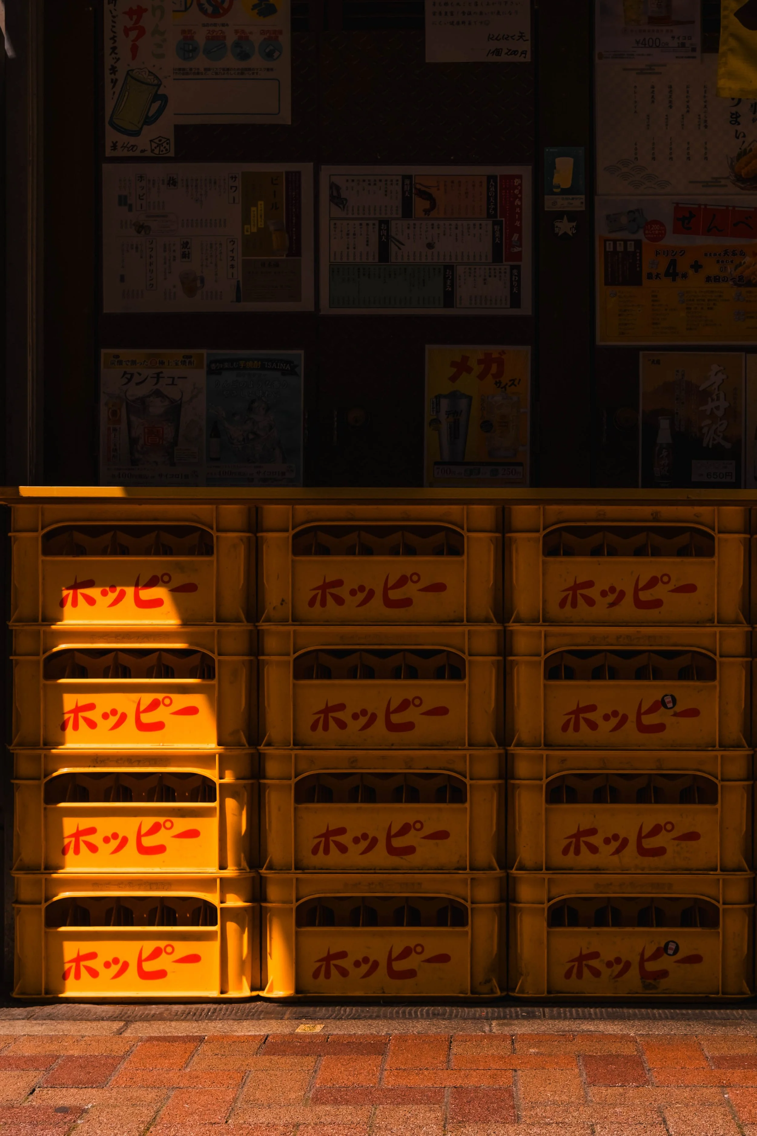 FUJI2678.jpg
