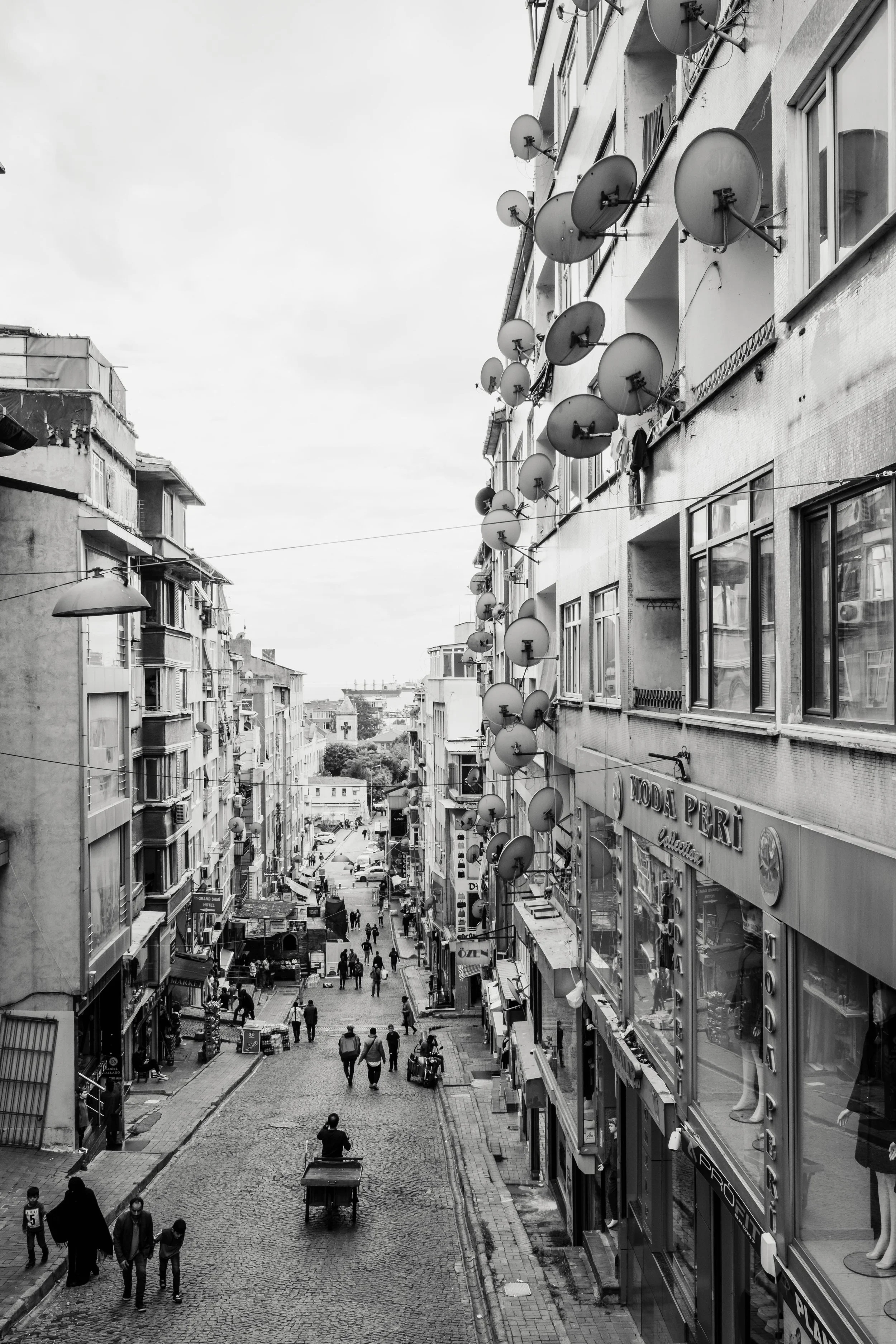 FUJI5011.jpg