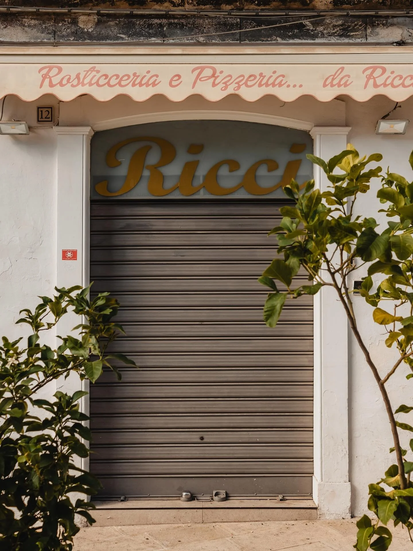 Moments from Puglia, Italy 2025 🍋