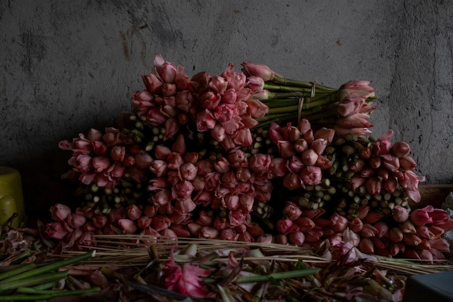 The Torch Ginger Farmers of Jatiluwih. December 2025