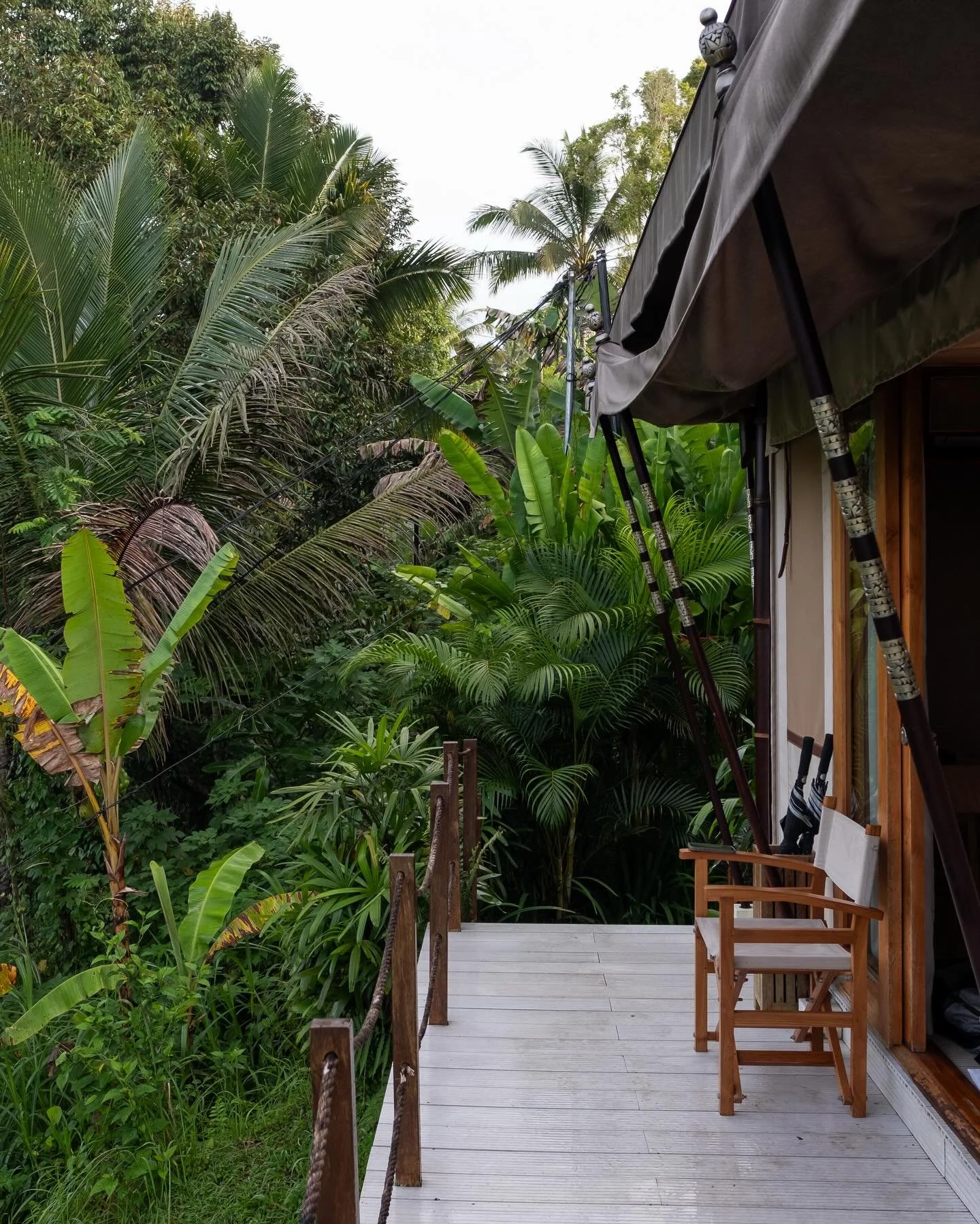 For my annual end of year self retreat, I had the pleasure to stay @nadibaliofficial in Jatiluwih, nestled amongst rice fields and Jungle. The perfect spot to unwind and reflect on 2025, a very emotional year indeed. Two days of long walks, slow phot