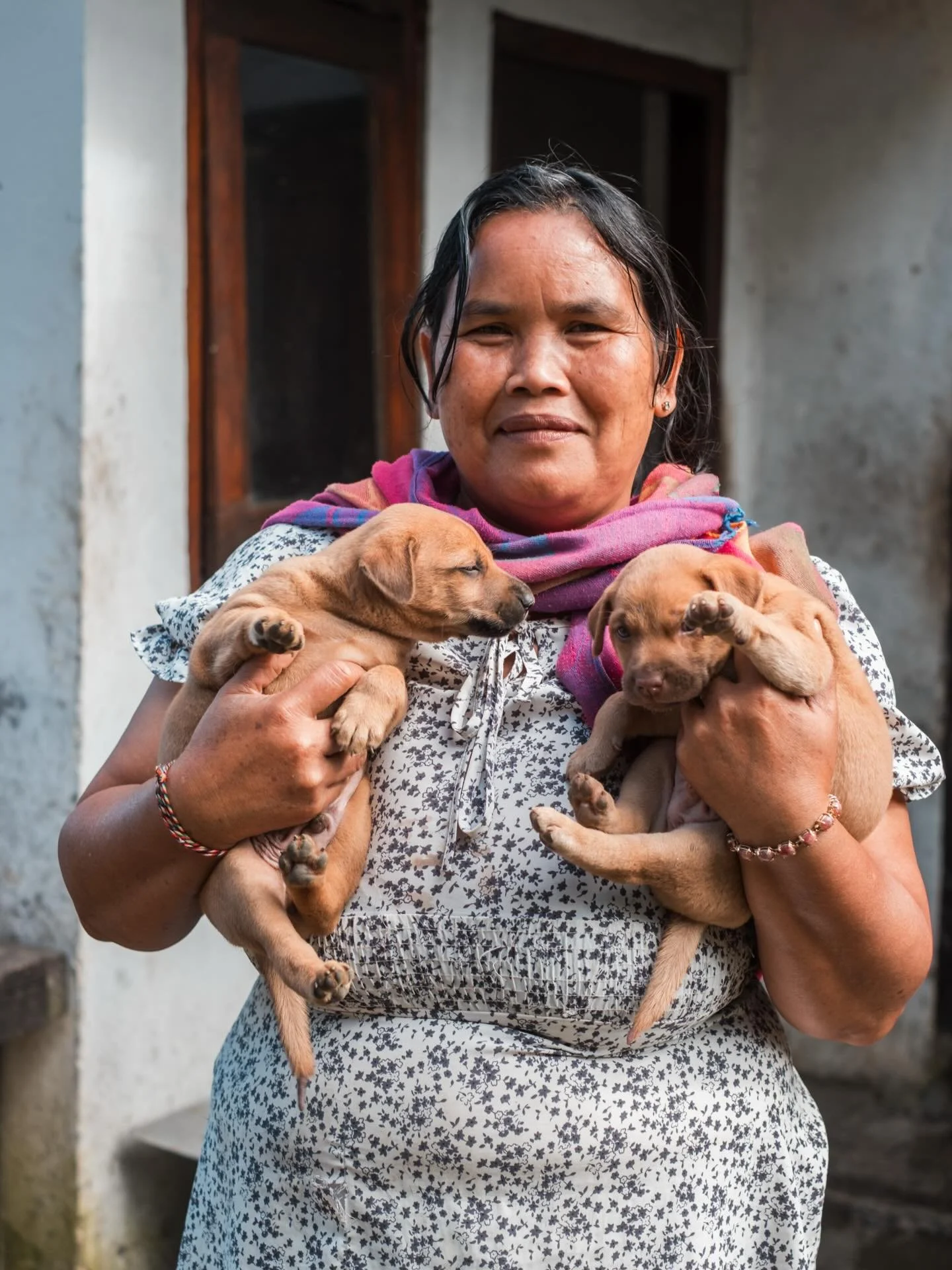 Ibu Made with puppies. Madenan, February 2026