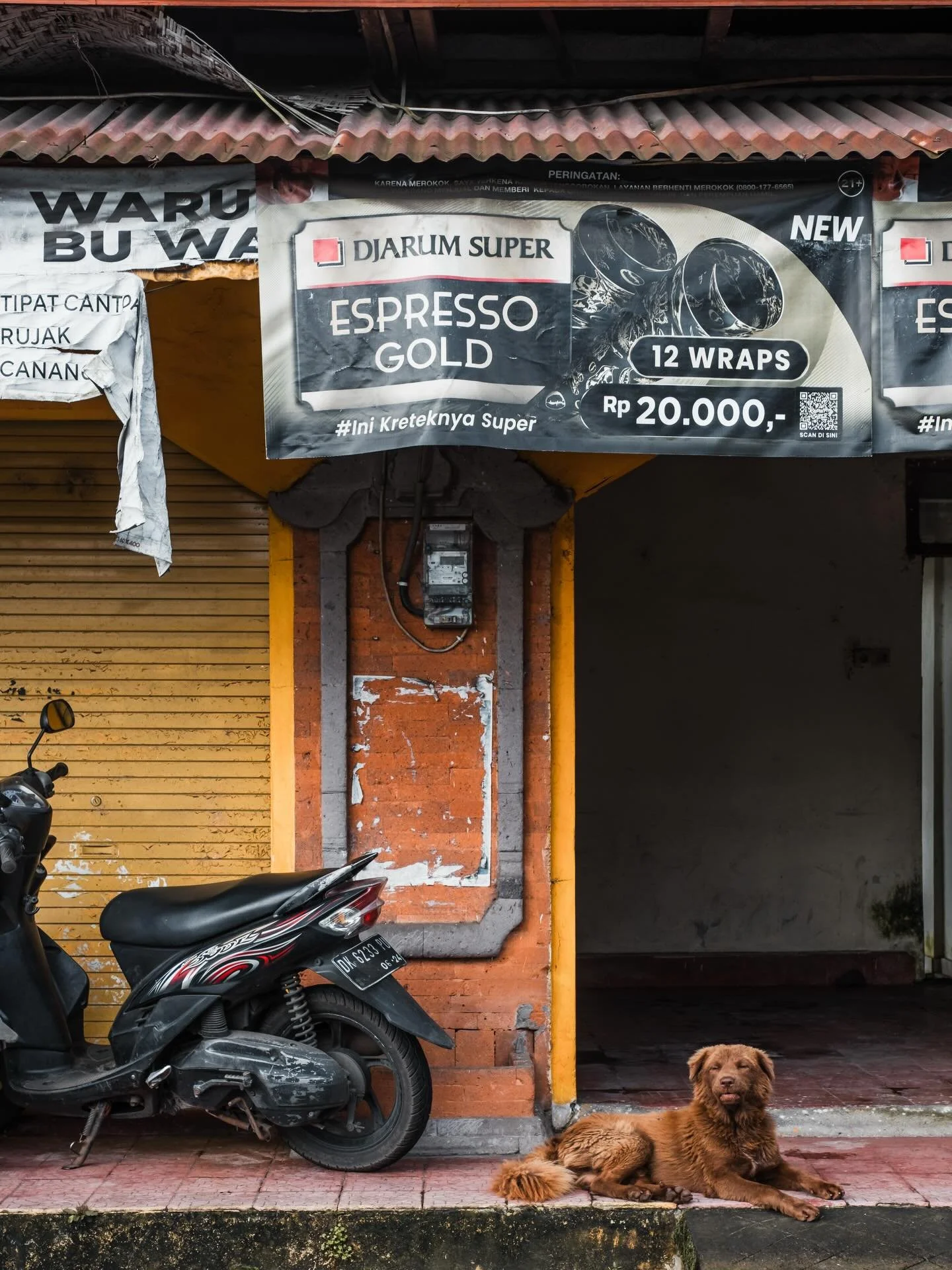 Dogs &amp; cigarette ads. Kintamani, Bali. March 2026
