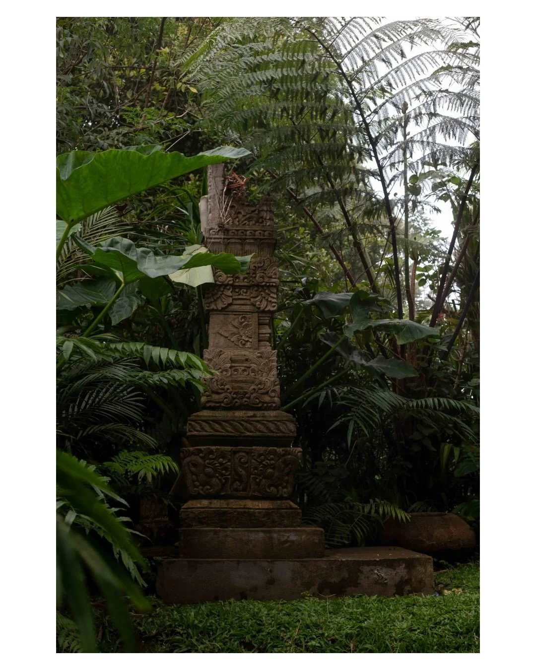 Moments spent in misty clouds @wanagiri_cabin 🍃