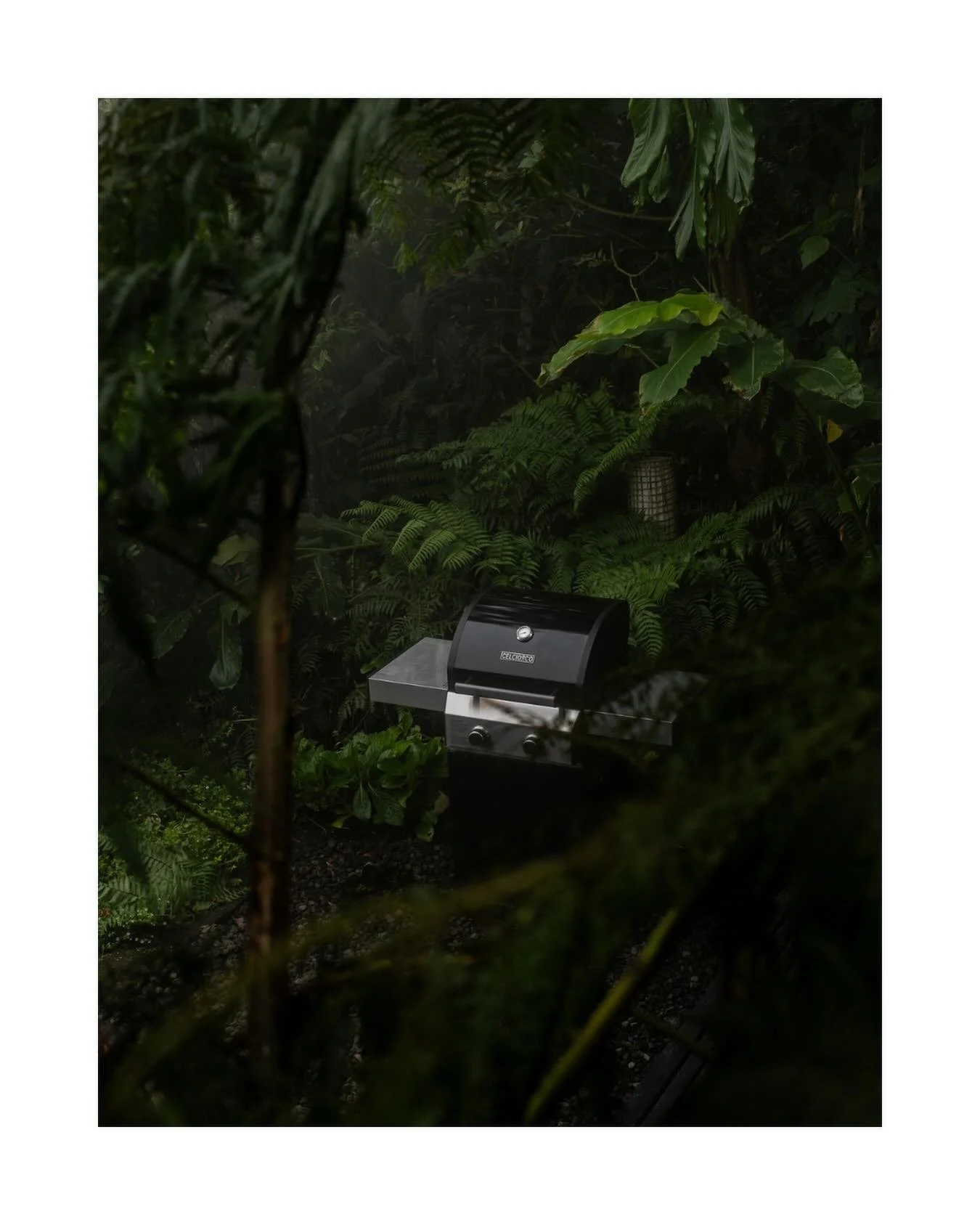 Forest cooking @wanagiri_cabin 🍃