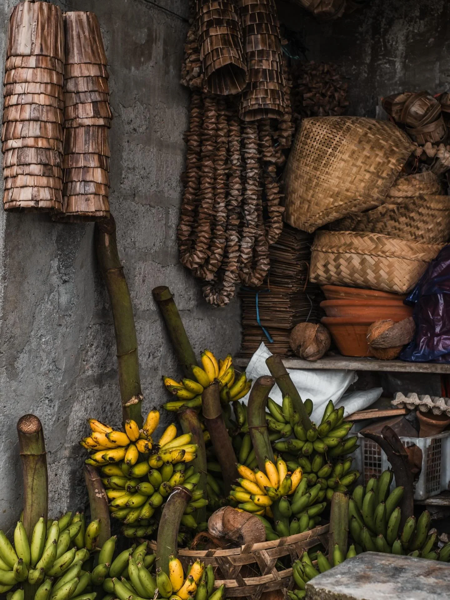 Kintamani, Bali. March 2026