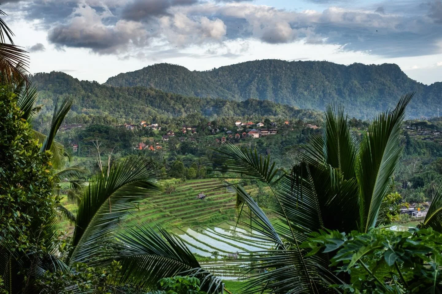 Sidemen, Bali. March 2026