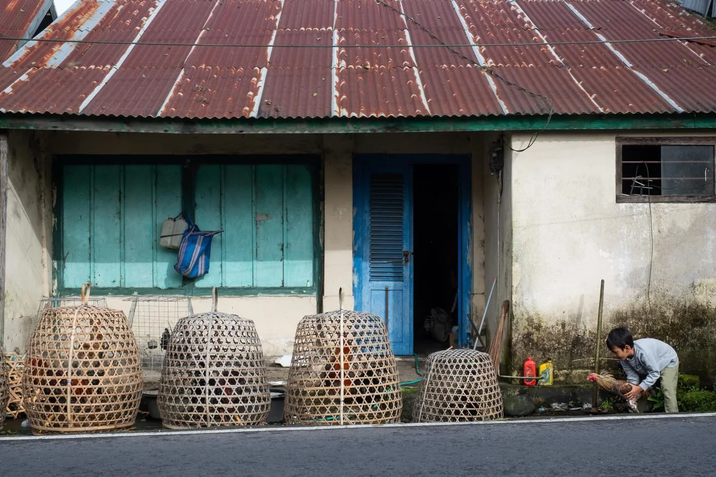 Boy with his rooster. Kintamani, Bali. March 2026