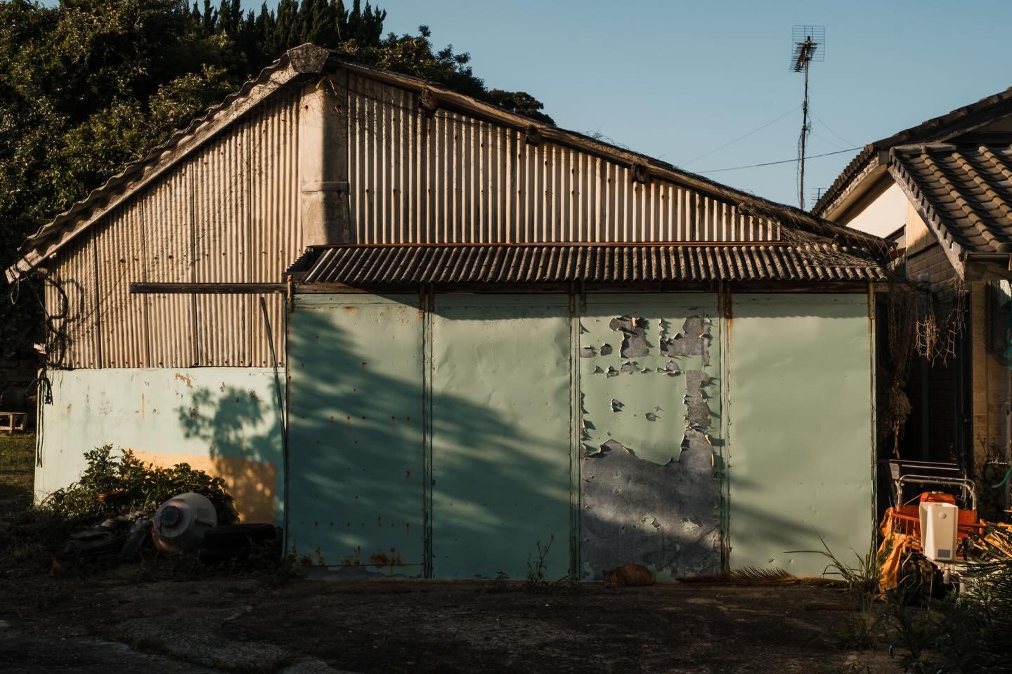 Abandoned shack. Kyushu, Japan. May 2026