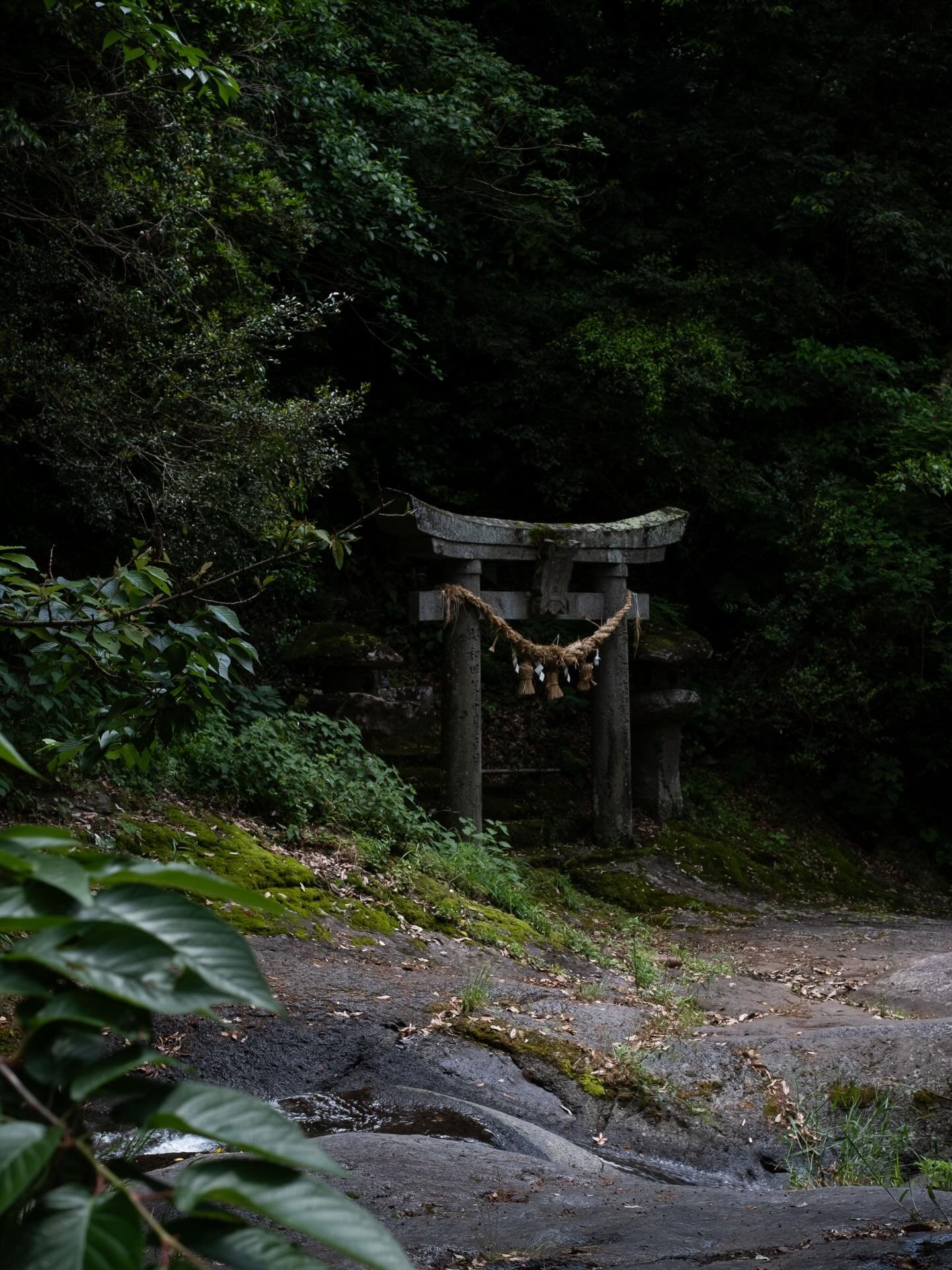 Japan... a complete reset of the nervous system. May 2026